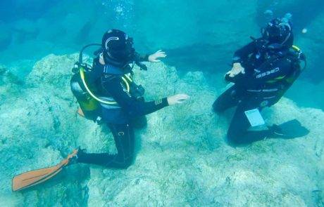 Diving Courses_Notos_Mare_Diving_Sfakia_Chora_Sfakion